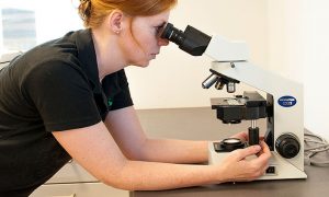Laboratorieundersøgelse