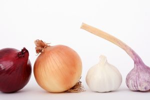 bulb-1239423_1920 bulb-1239423_1920