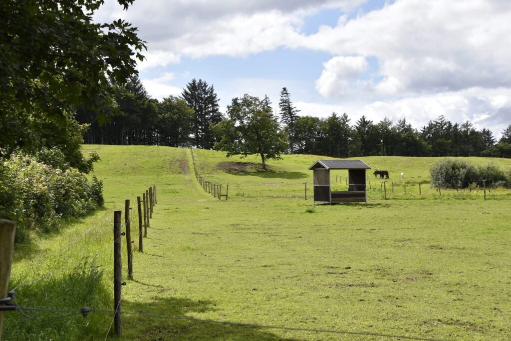 bakket fold med en foderstation i baggrunden