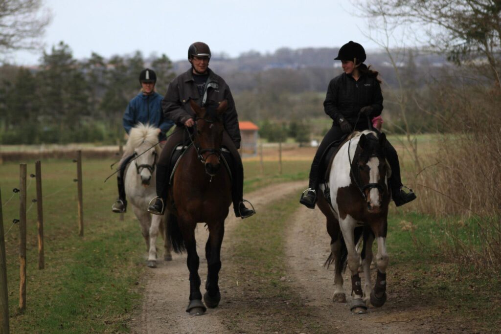 Nogle ryttere på skovtur ned af markvejen