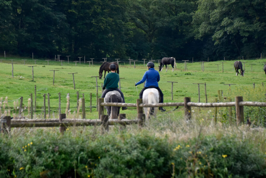 2 ryttere der er ved at skridte af efter træning på en ridesti blandt foldene
